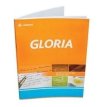 Cuaderno Gloria tapa flexible 84 hojas cuadriculado/rayado